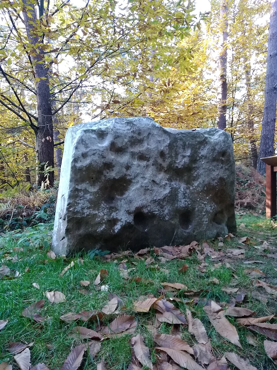 Le menhir de Montigny