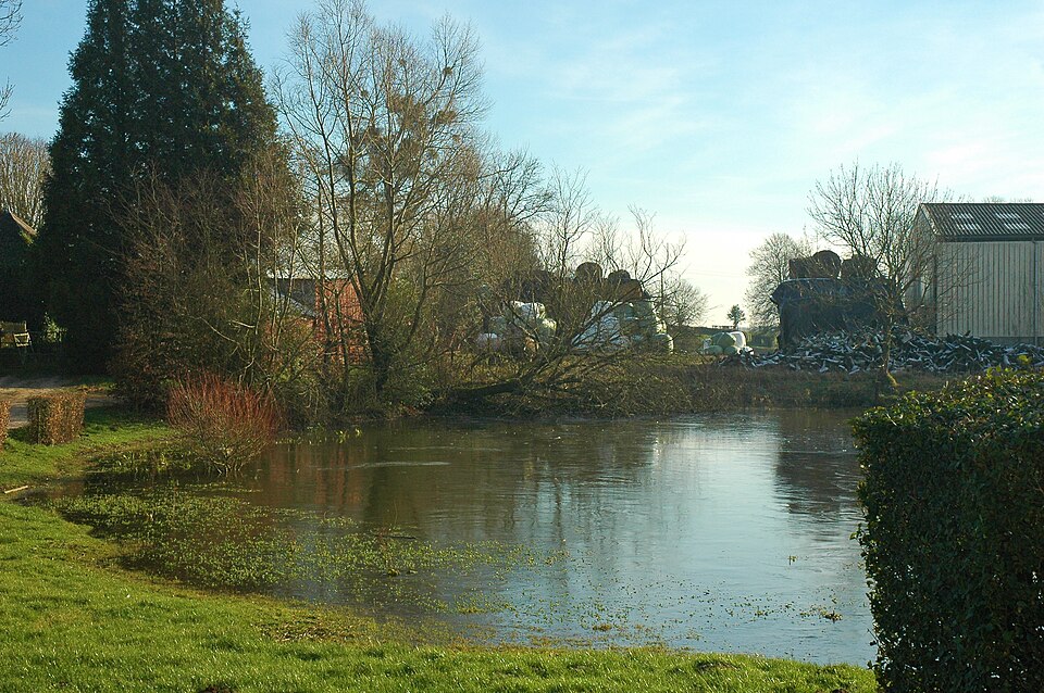 Saint — Pierre — des — Jonquières (mare) 1