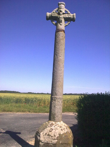 Croix nimbée Saint — Pierre
