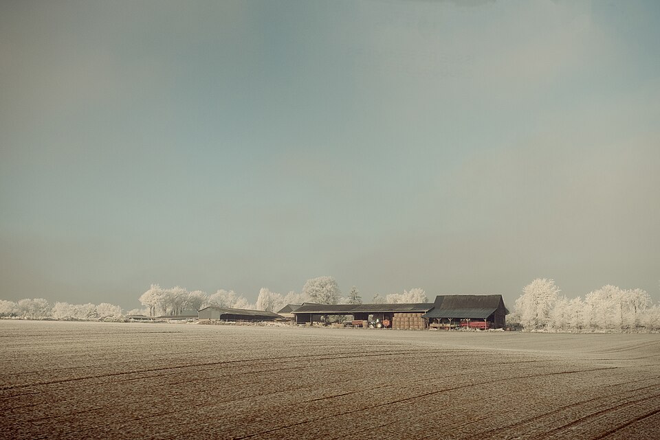Winter is here (Unsplash)