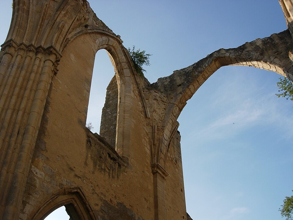 Seine et Marne Dammarie les Lys août 2006 05