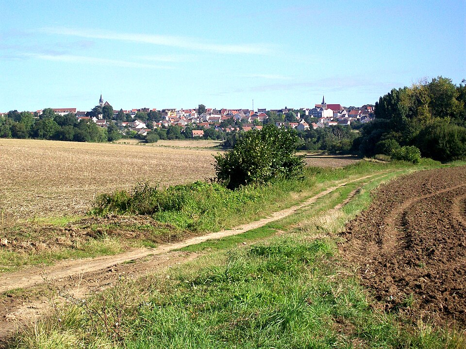 Dammartin — en — Goële, vue depuis le GR 1 pour St Mard