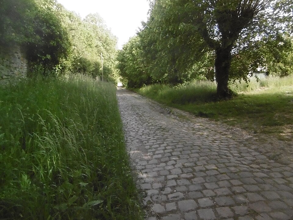 Rue des tilleuls à Villeneuve — sous — Dammartin