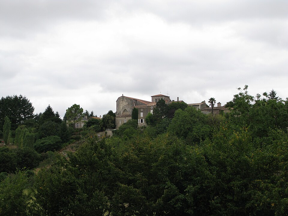 Ardin — Vue générale