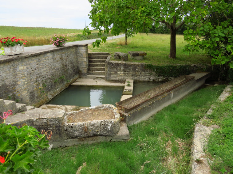 Le lavoir de Paizay le Chapt 79