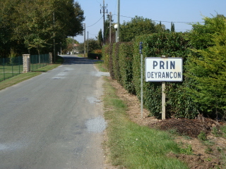 PRIN Rue1