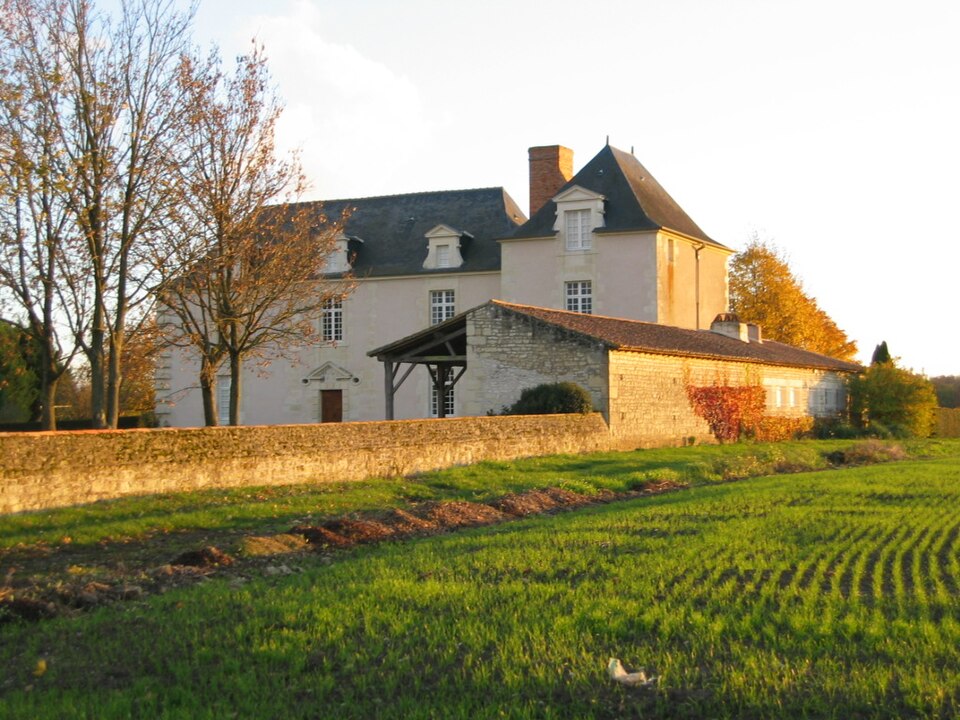 Chateau de Baugé (79)