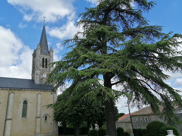 L’ÉGLISE SAINT VINCENT de Sansais 79