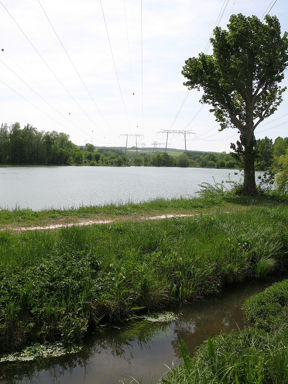 Argoeuves marais et ligne haute — tension 1
