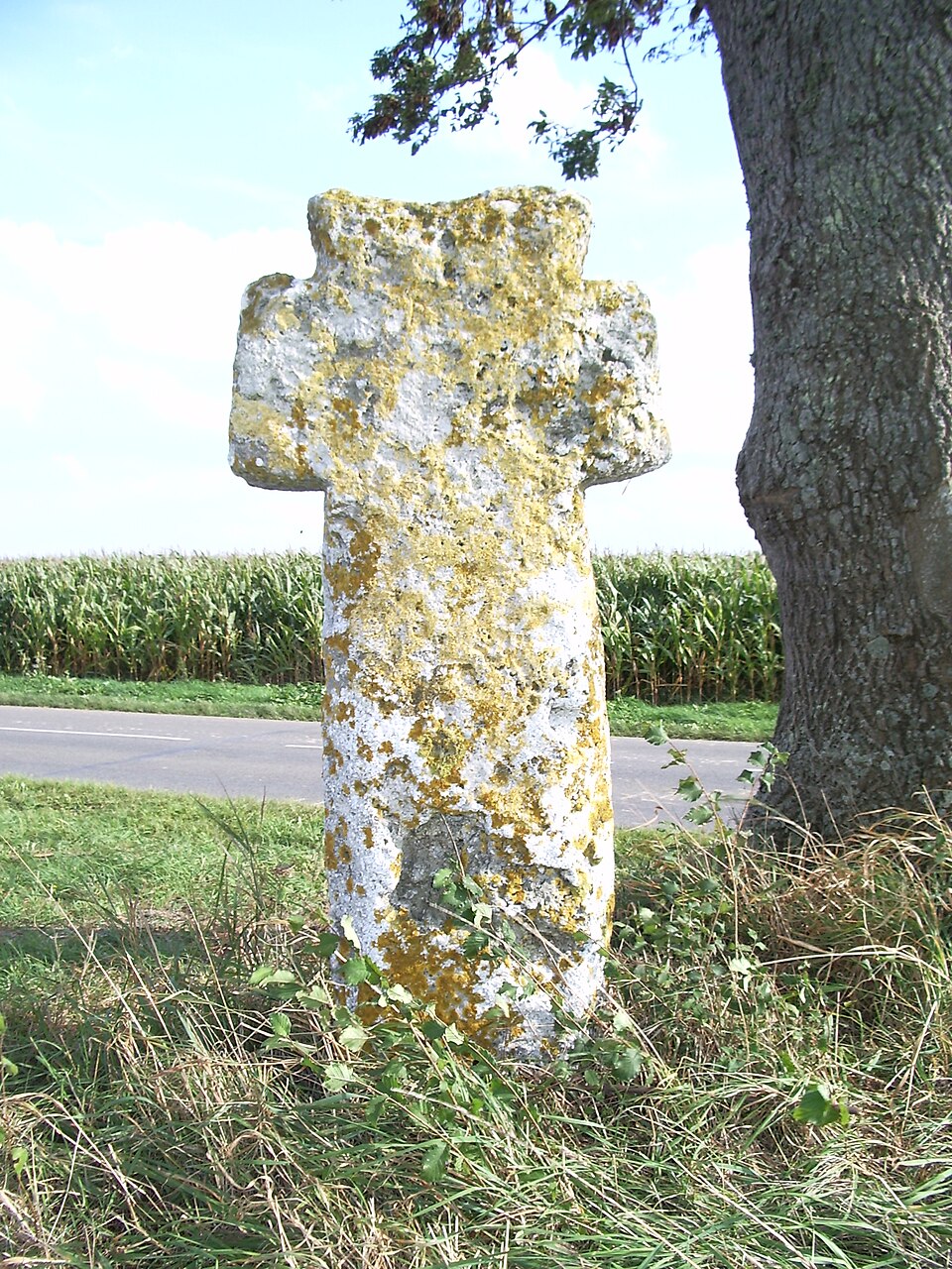 Cambron, Somme,Fr, croix de tuf