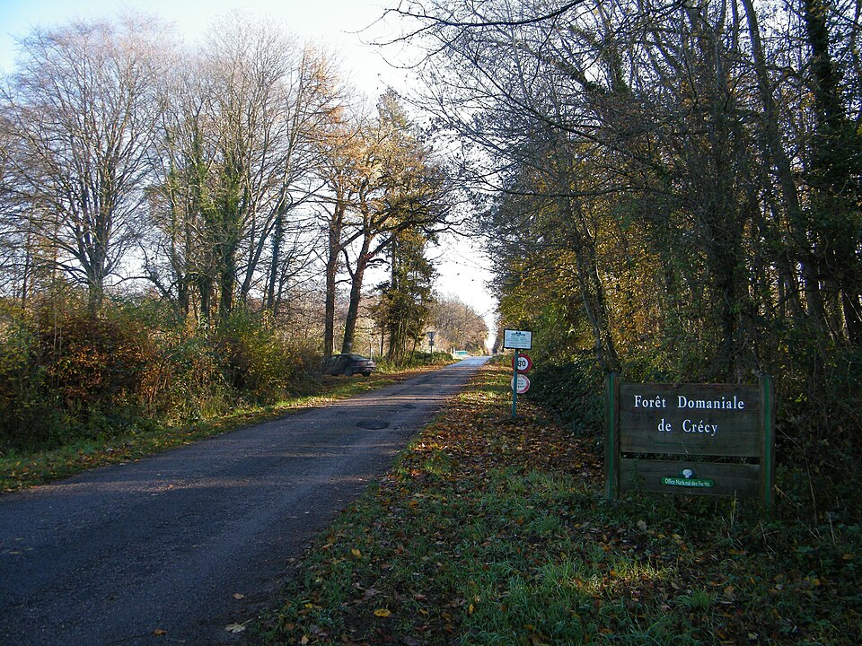 Entrée Forêt