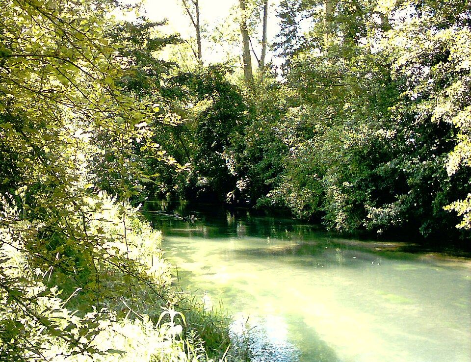 Frohen — le — Grand (Fr — 62), l'Authie