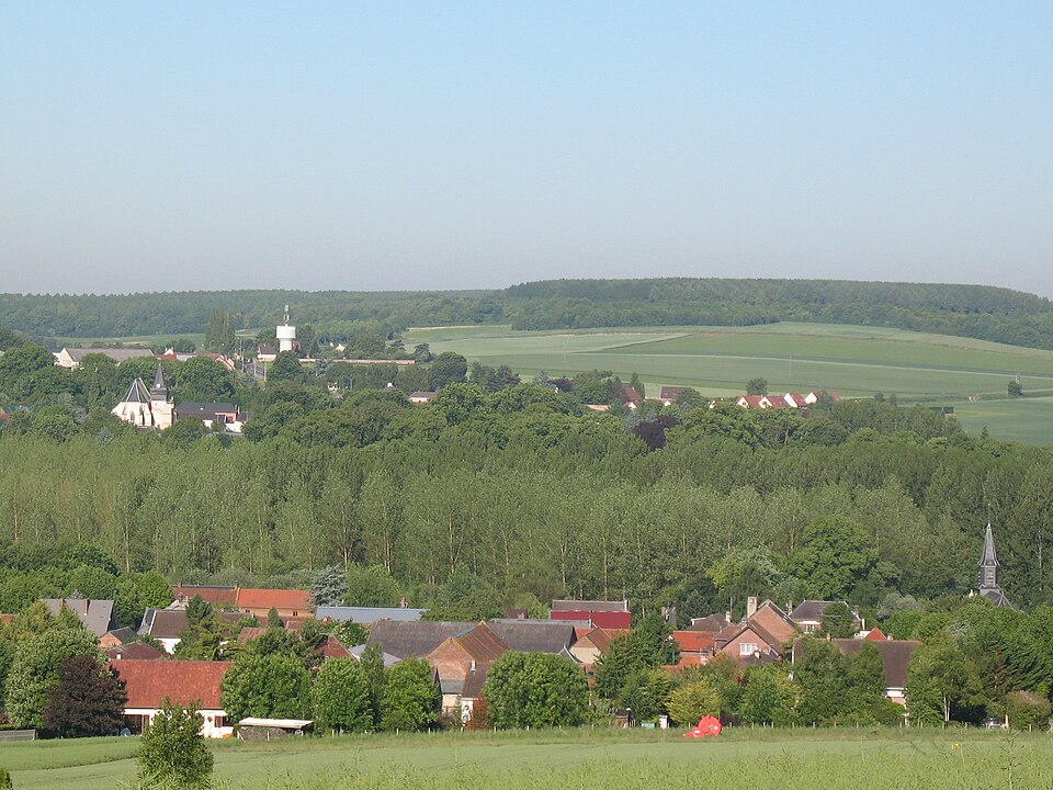 Peupleraie de l'Hallue entre Pont — Noyelles et Querrieu