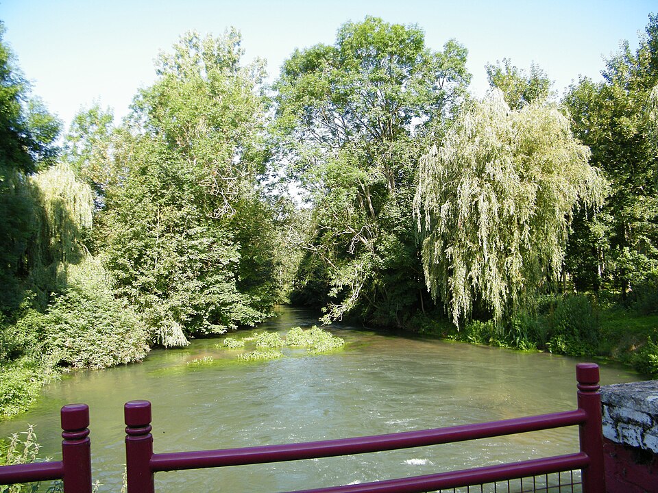 Treux (3)