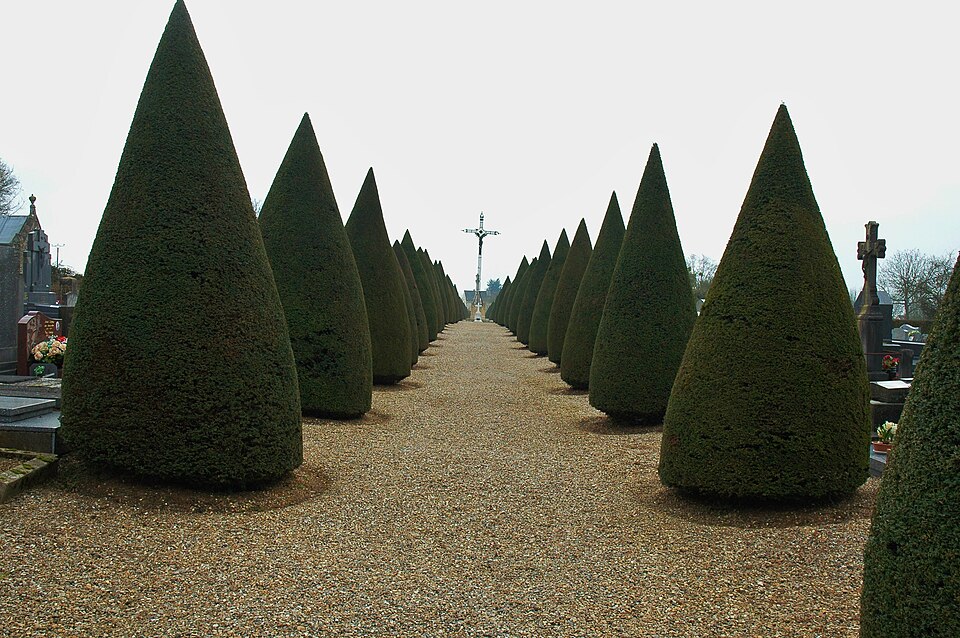 Le cimetiere de Vignacourt, Somme