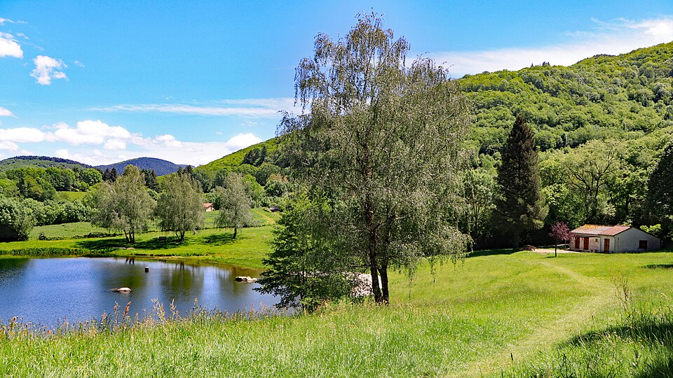 Albine lac (16)