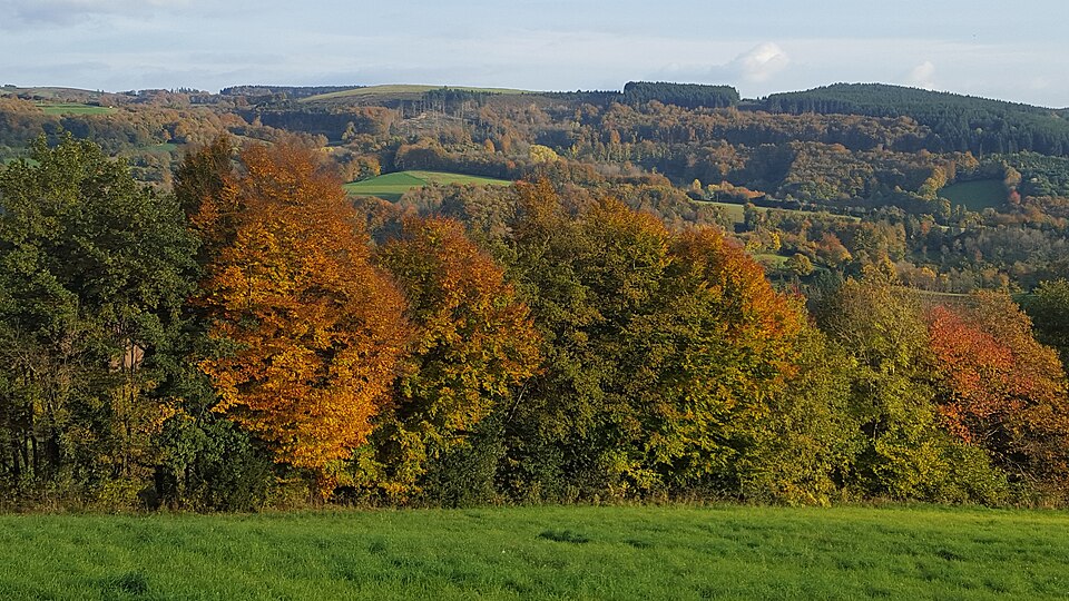 Panorama de Fontrieu
