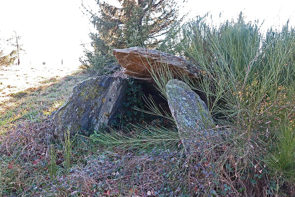 Dolmen de Peyro Levado de Crespin