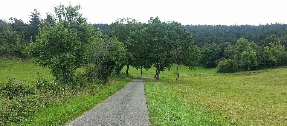Une petite route bien champêtre en fond de vallée, vers Vaour. — panoramio