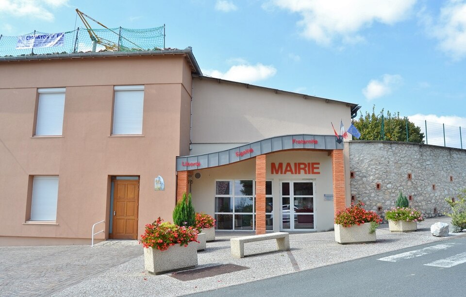 010 labessiere Candeil (81300)