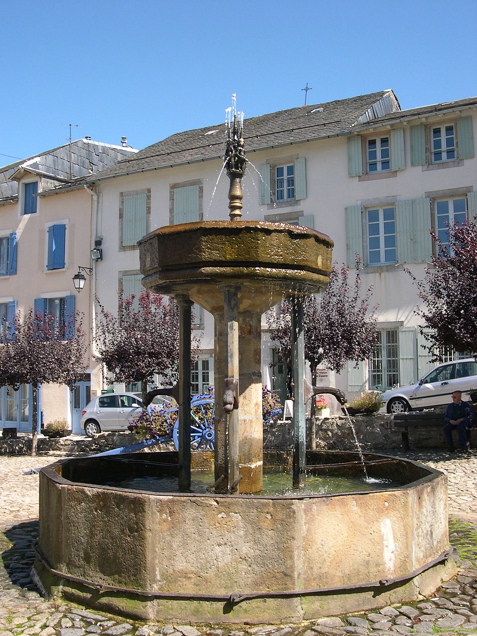 Lacaune Fontaine des pisseurs3