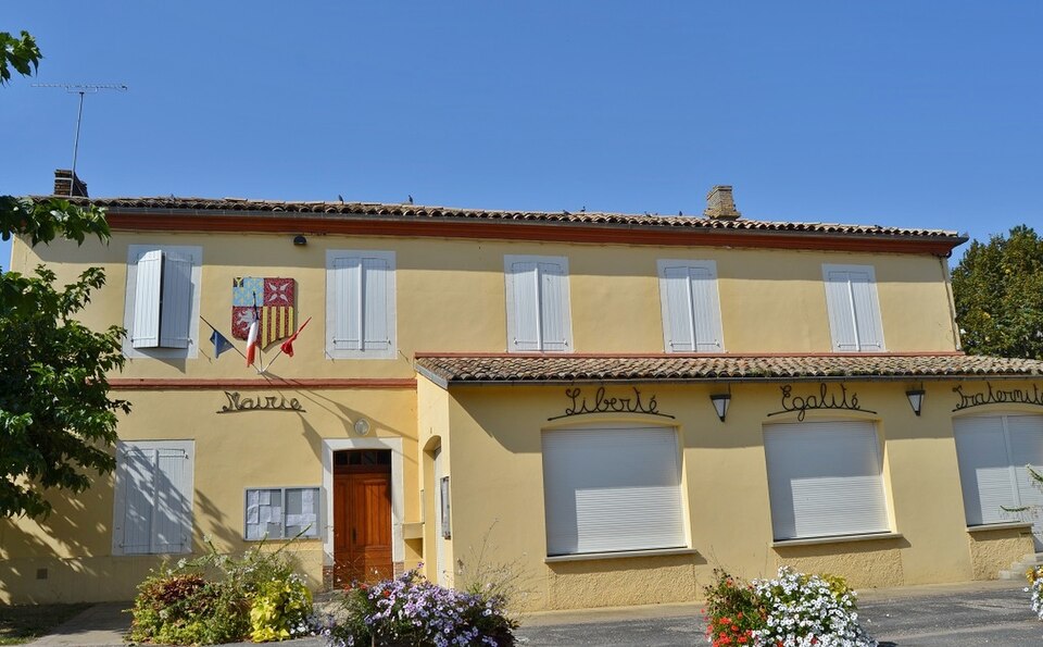 073 Parisot (81310)