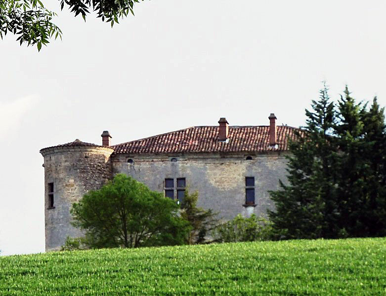 81229 ROQUEVIDAL 1