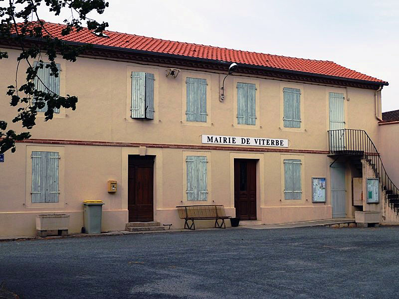 81323 VITERBE 1 (2)