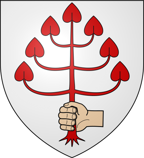 Blason de Nègrepelisse