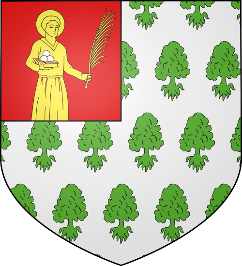 Blason de Saint-Étienne-de-Tulmont