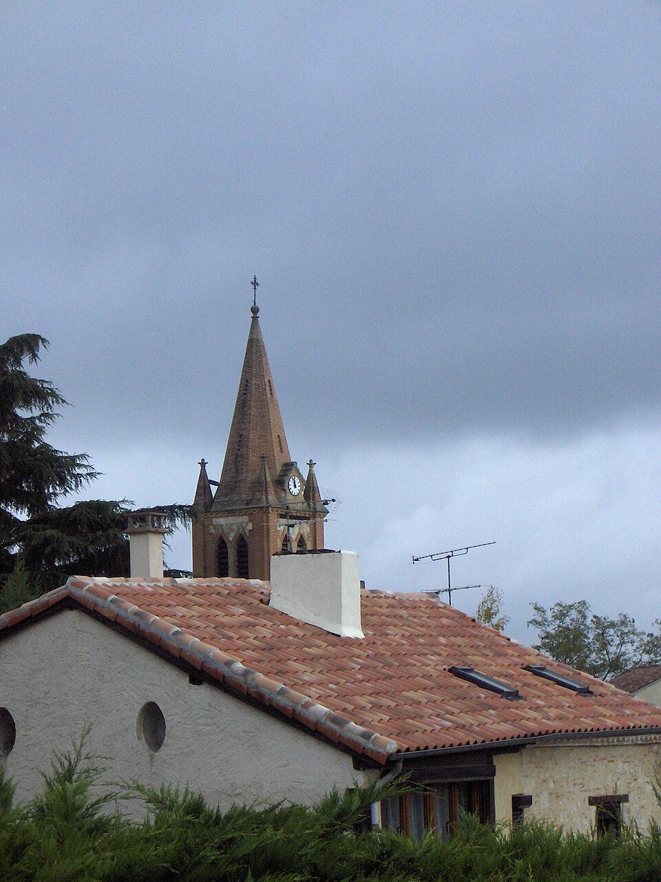 Saint loup