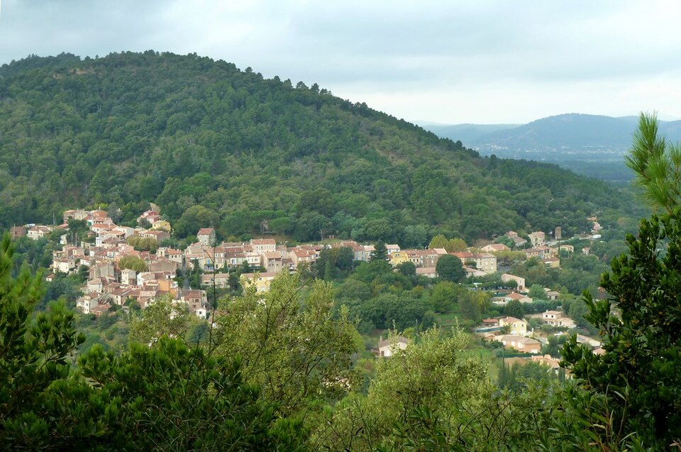 Les mayons