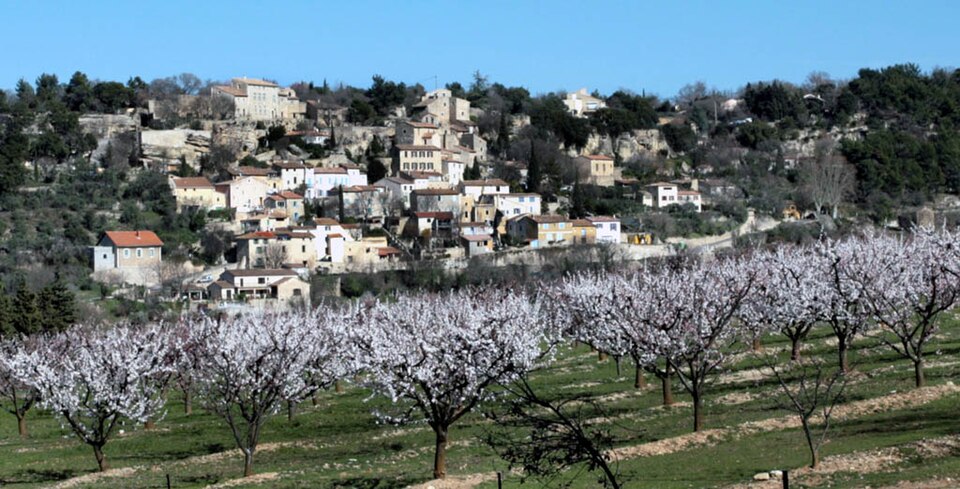 La Roque sur Pernes by Rosier