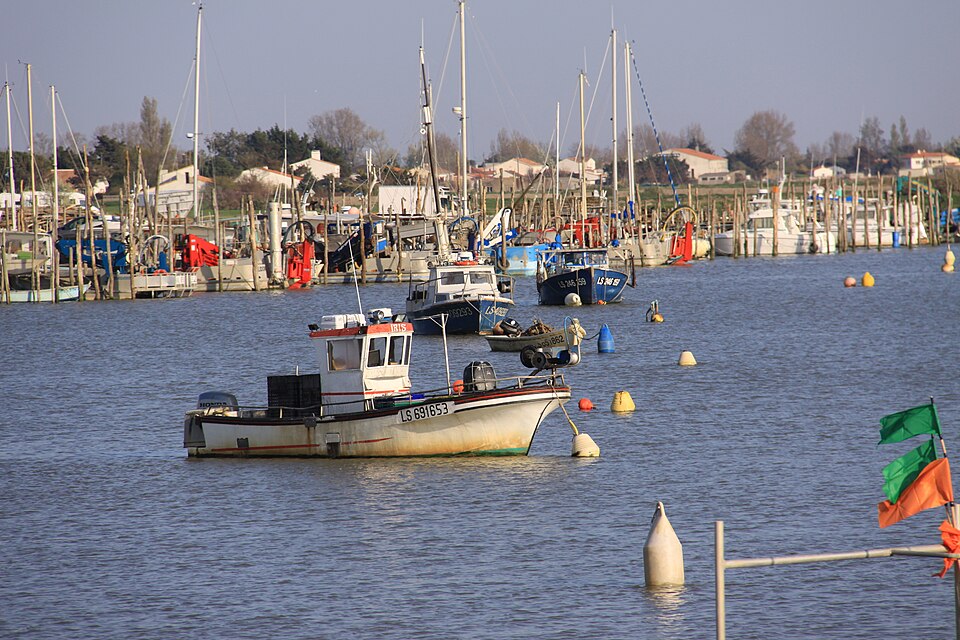 Le port de L' Aiguillon — sur — Mer (4)