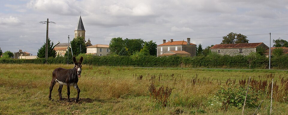 Saint Pierre — le — vieux