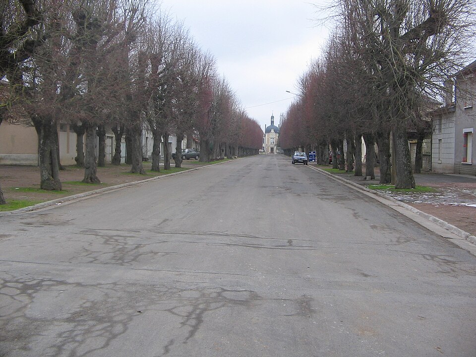 L'Avenue à Angliers, Vienne, France