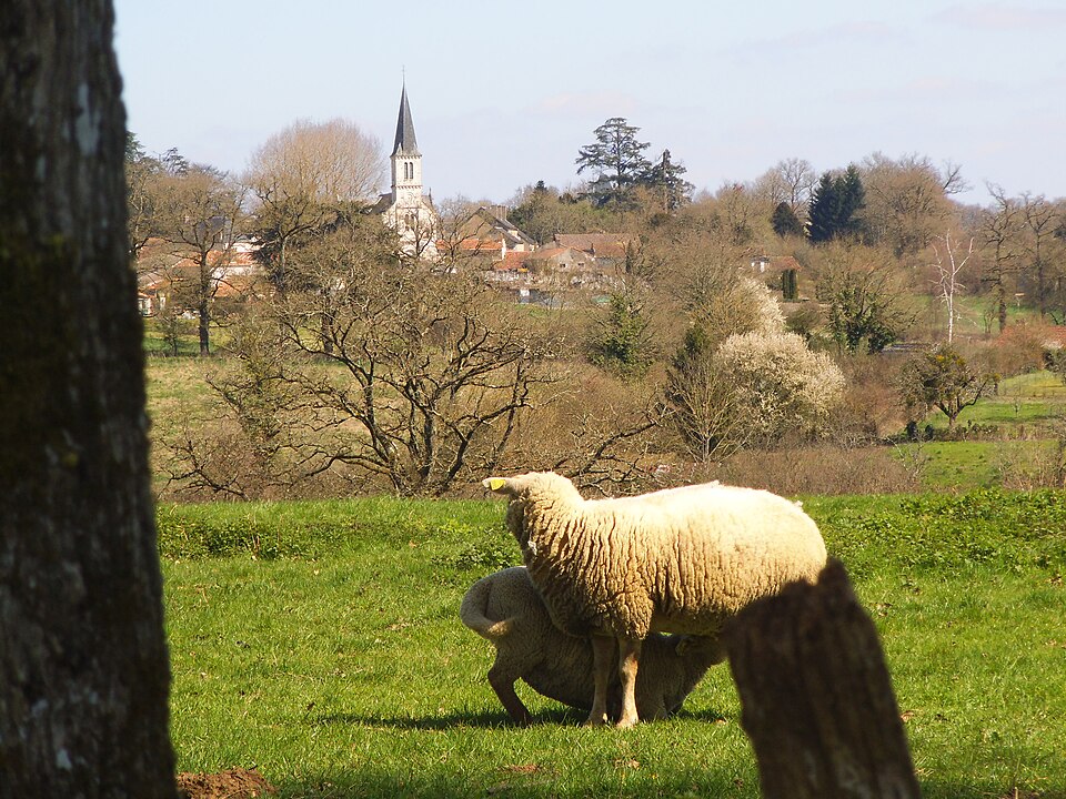VueLuchapt