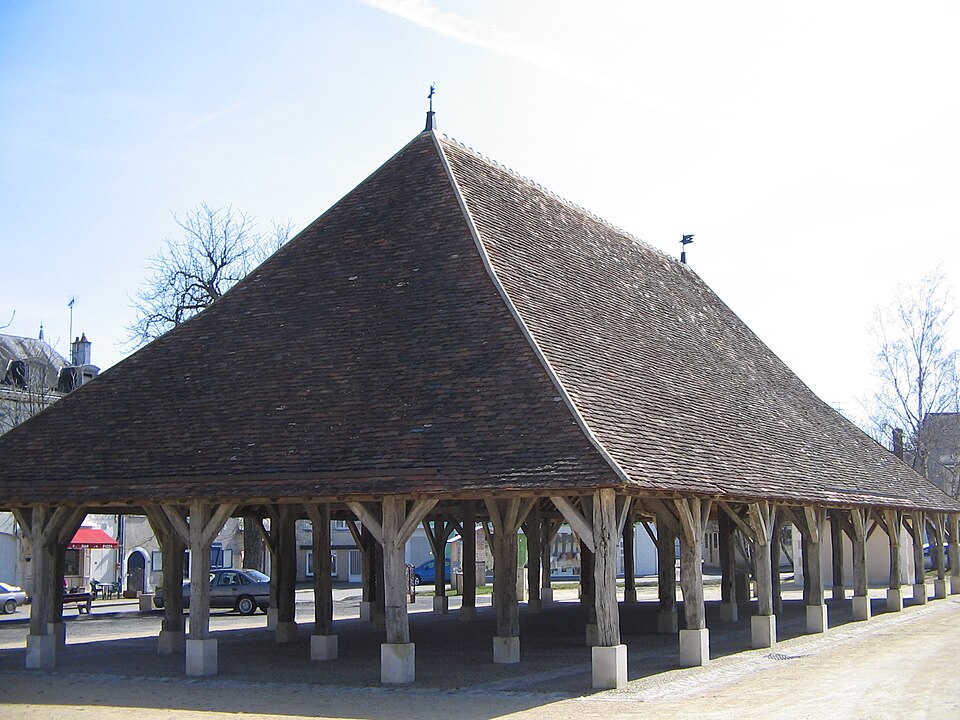 Hallespleumartin