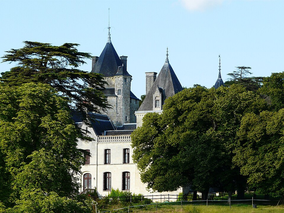Ternay château (1)