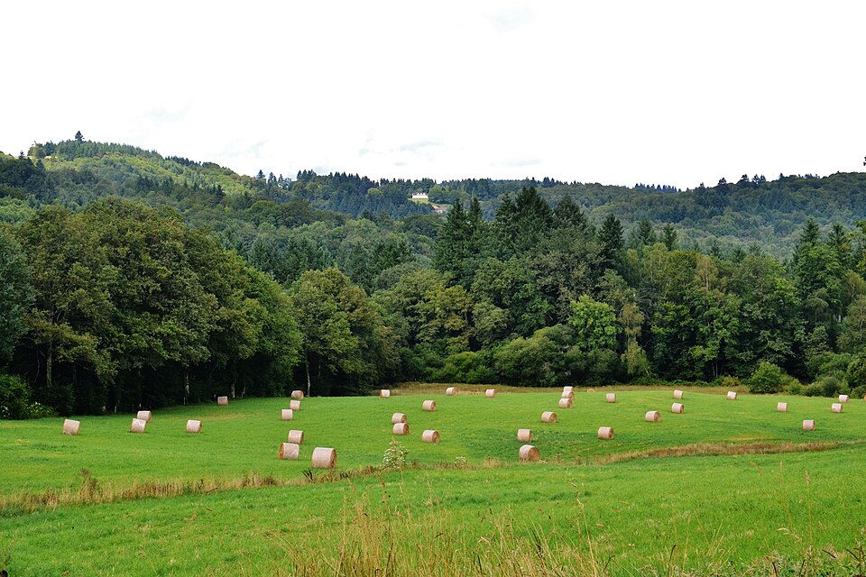 Monts d'Ambazac (2)