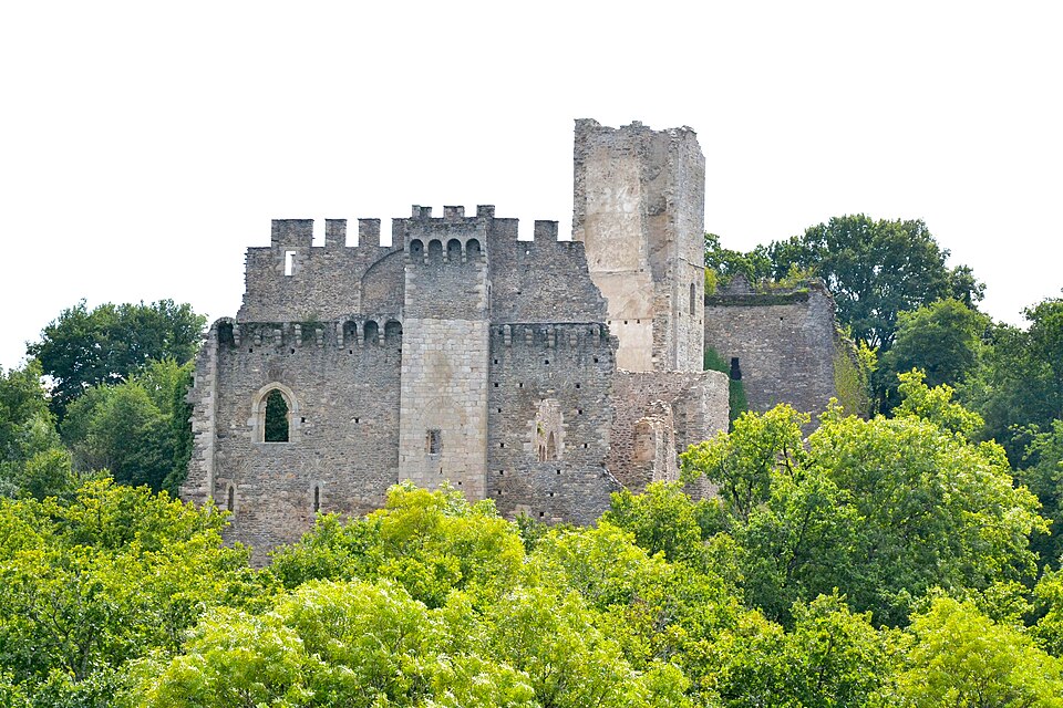 Château de Chalucet (1)