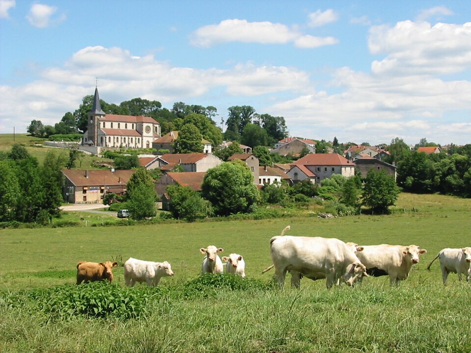 Grandvillers 88600
