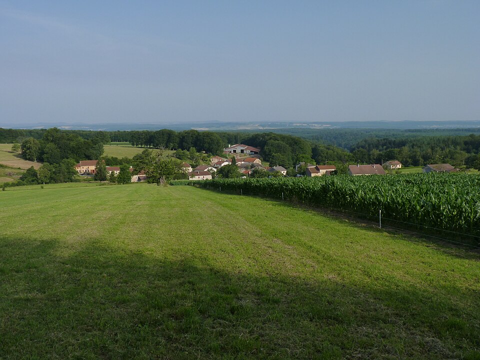 La Frizon juillet 2010 006