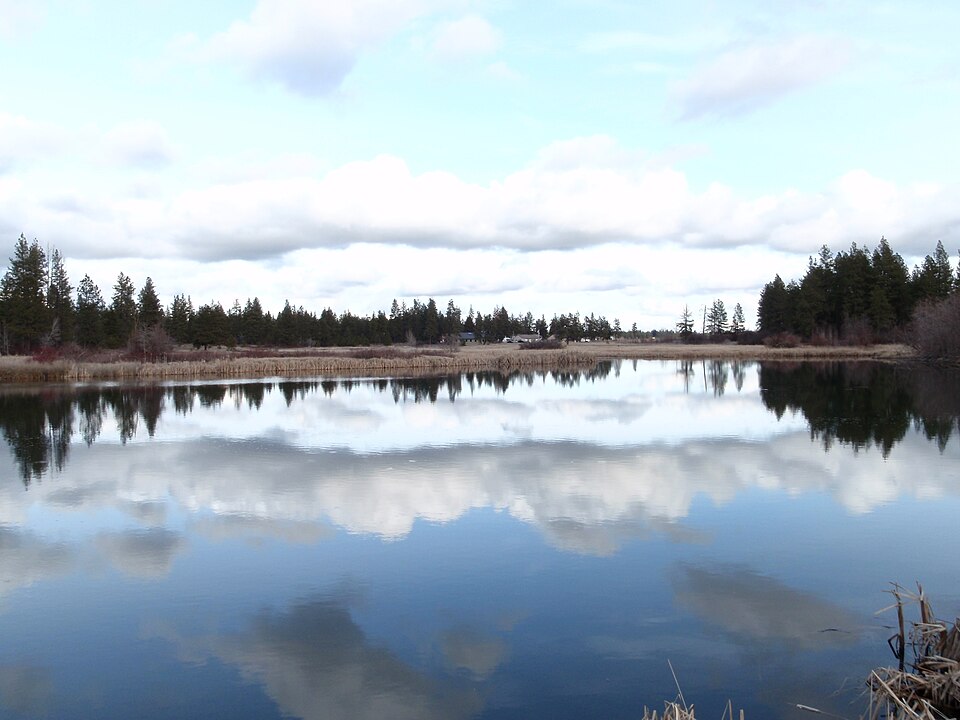 Calm waters — panoramio