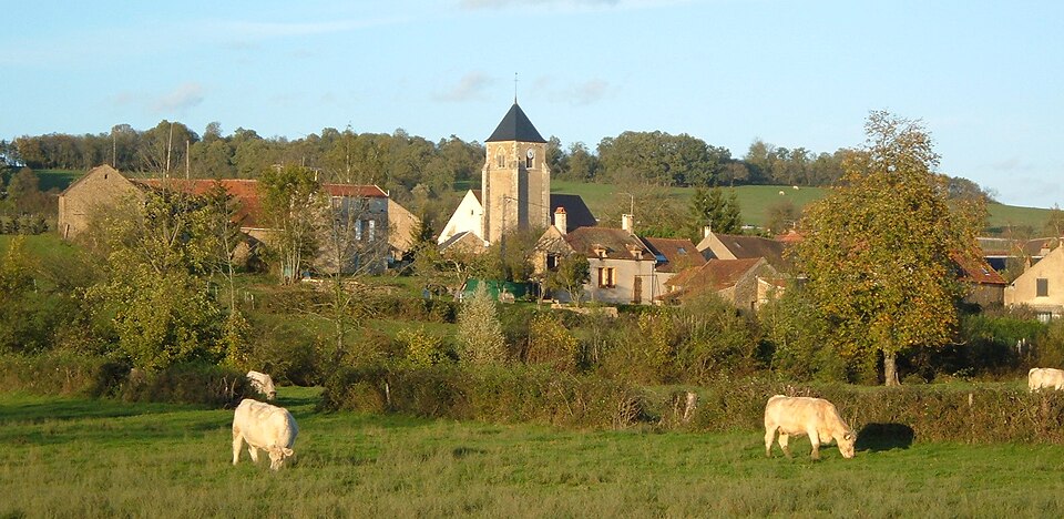 Provency1
