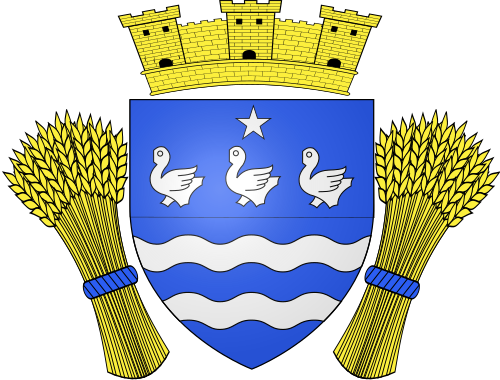 Blason de Cerny