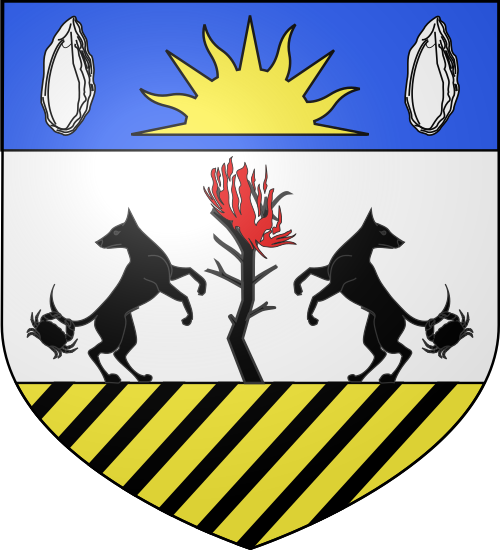 Blason de Montsinéry-Tonnegrande