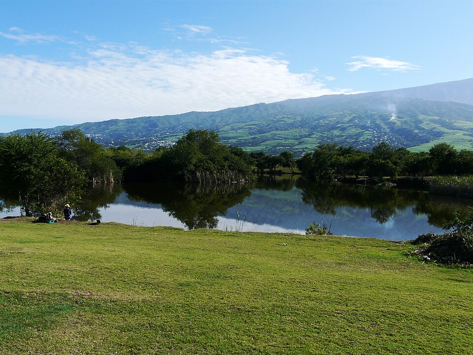 Etang du Gol (juin 2009) — panoramio
