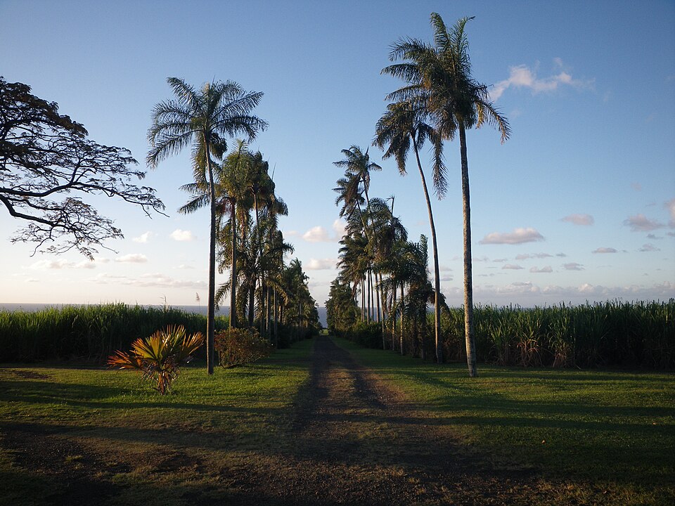 Domaine du Grand Hazier