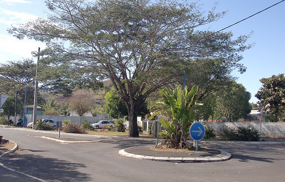 Rond Point AJP Pamandzi 27 — 08 — 2010